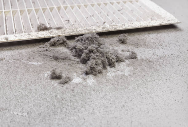 Best Commercial Air Duct Cleaning  in New Madrid, MO