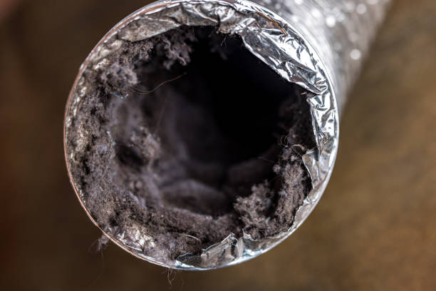 Best Air Duct Mold Removal  in New Madrid, MO