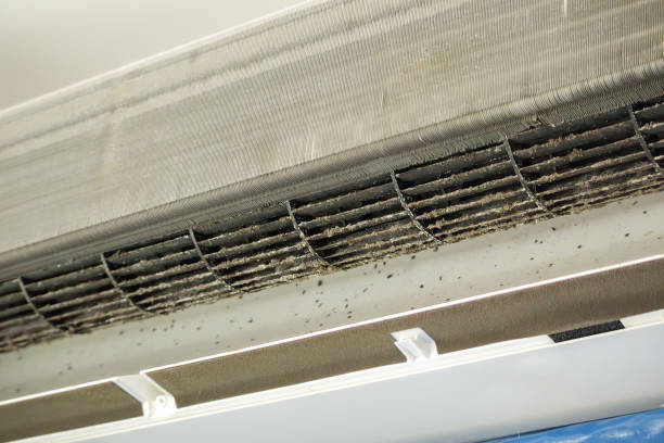 Best Affordable Air Duct Cleaning  in New Madrid, MO